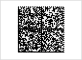 BarCode 2D Data Matrix 108