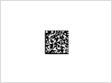 BarCode 2D Data Matrix 75
