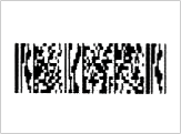 BarCode PDF417 MicroPDF417 75