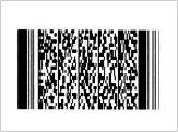 BarCode PDF417 PDF417 75
