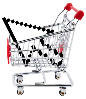shopping cart2013
